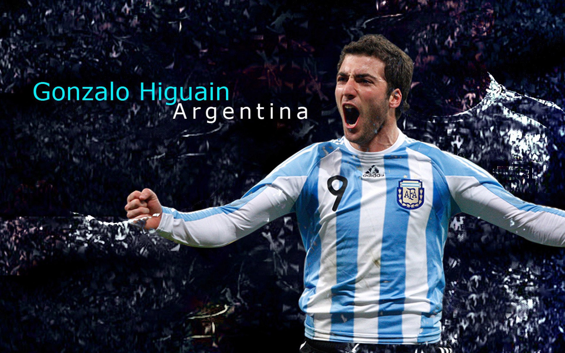 阿拉伯媒体赞新月“有担当”退出